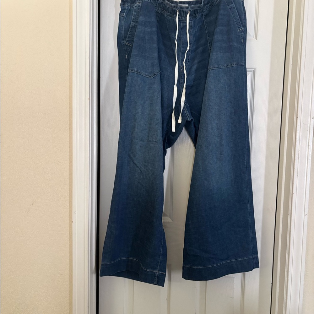Lane Bryant Men's Relaxed Blue Jeans with Drawstring